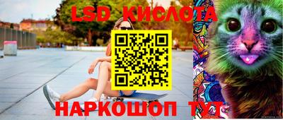 спайс Кандалакша