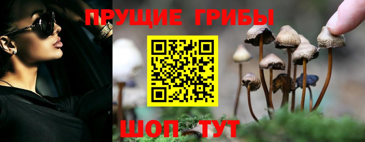 Галлюциногенные грибы Magic Shrooms Кушва